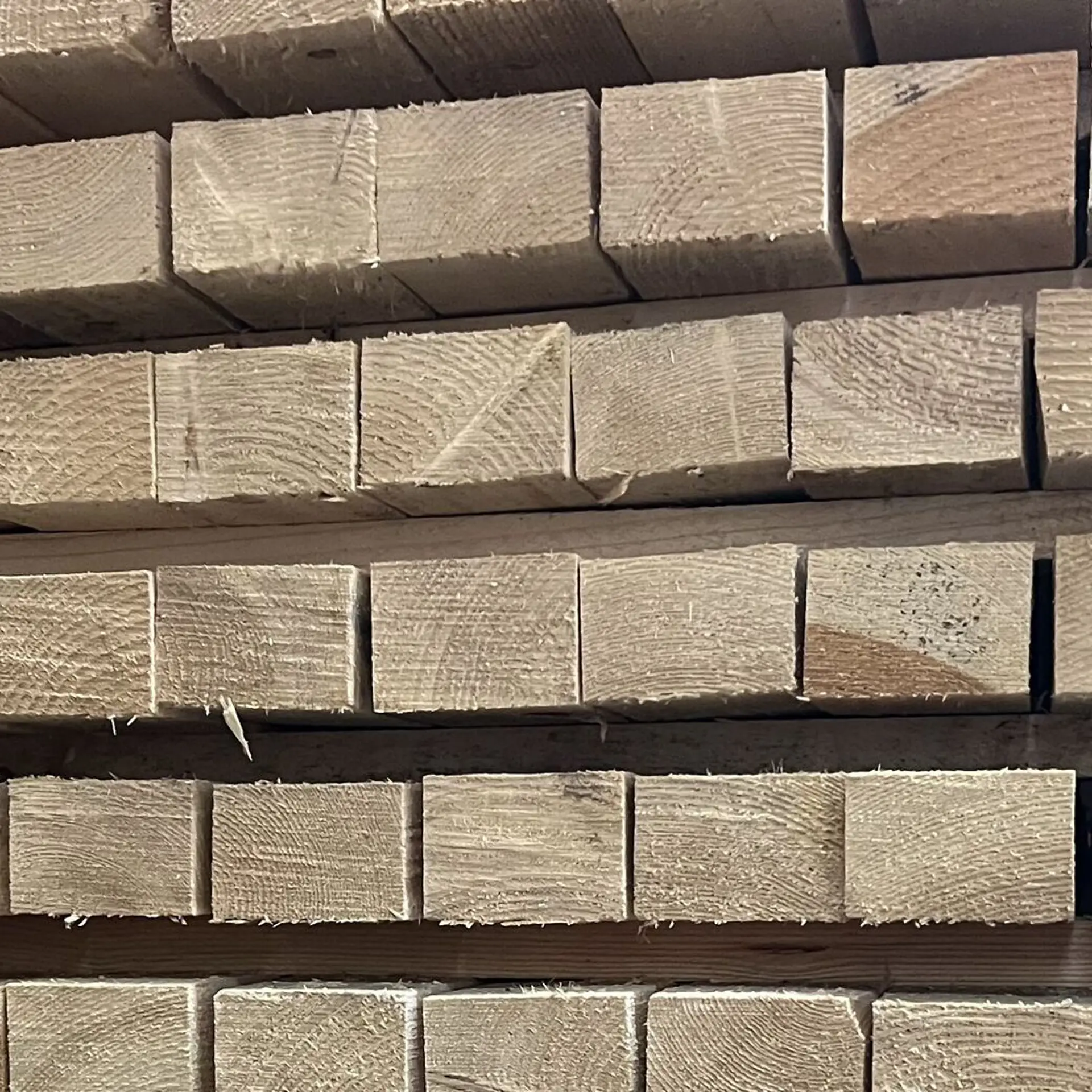 Pt Batten Pine Batten Rugged - 50 x 75 x 2400
