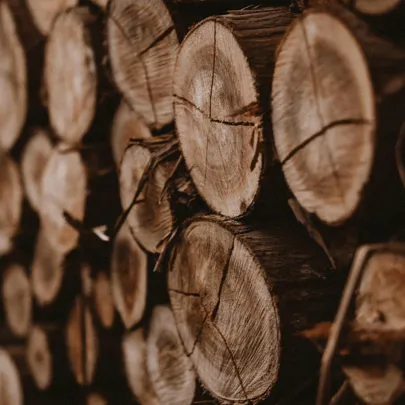 Pinho ou Abeto: qual escolher para a tua obra?