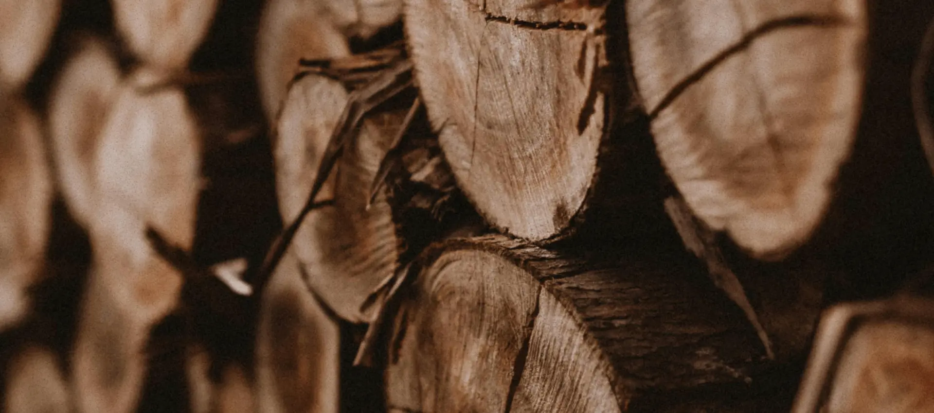 Pinho ou Abeto: qual escolher para a tua obra?