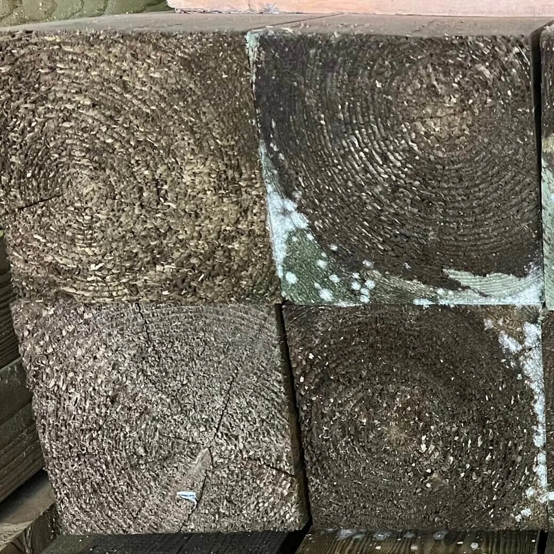 Vigas Maciças de Pinho Aparelhado - 140 x 140 x 6000