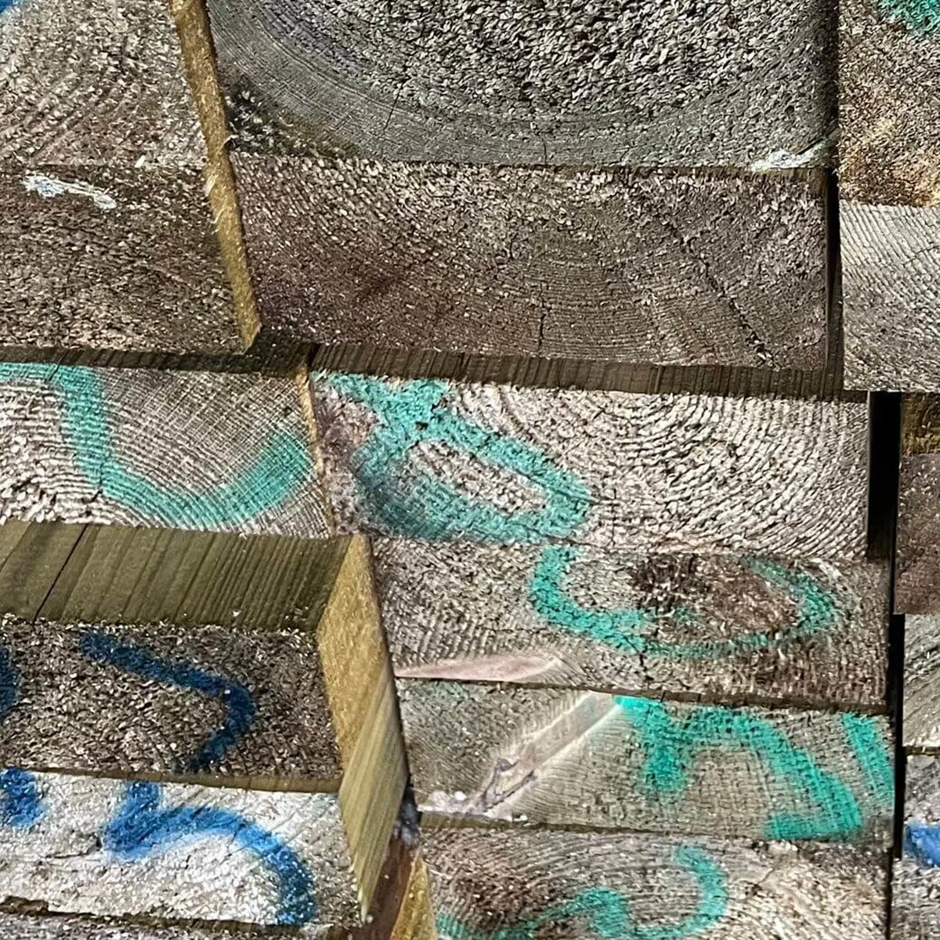 Vigas Maciças de Pinho Aparelhado - 80 x 200 x 7000