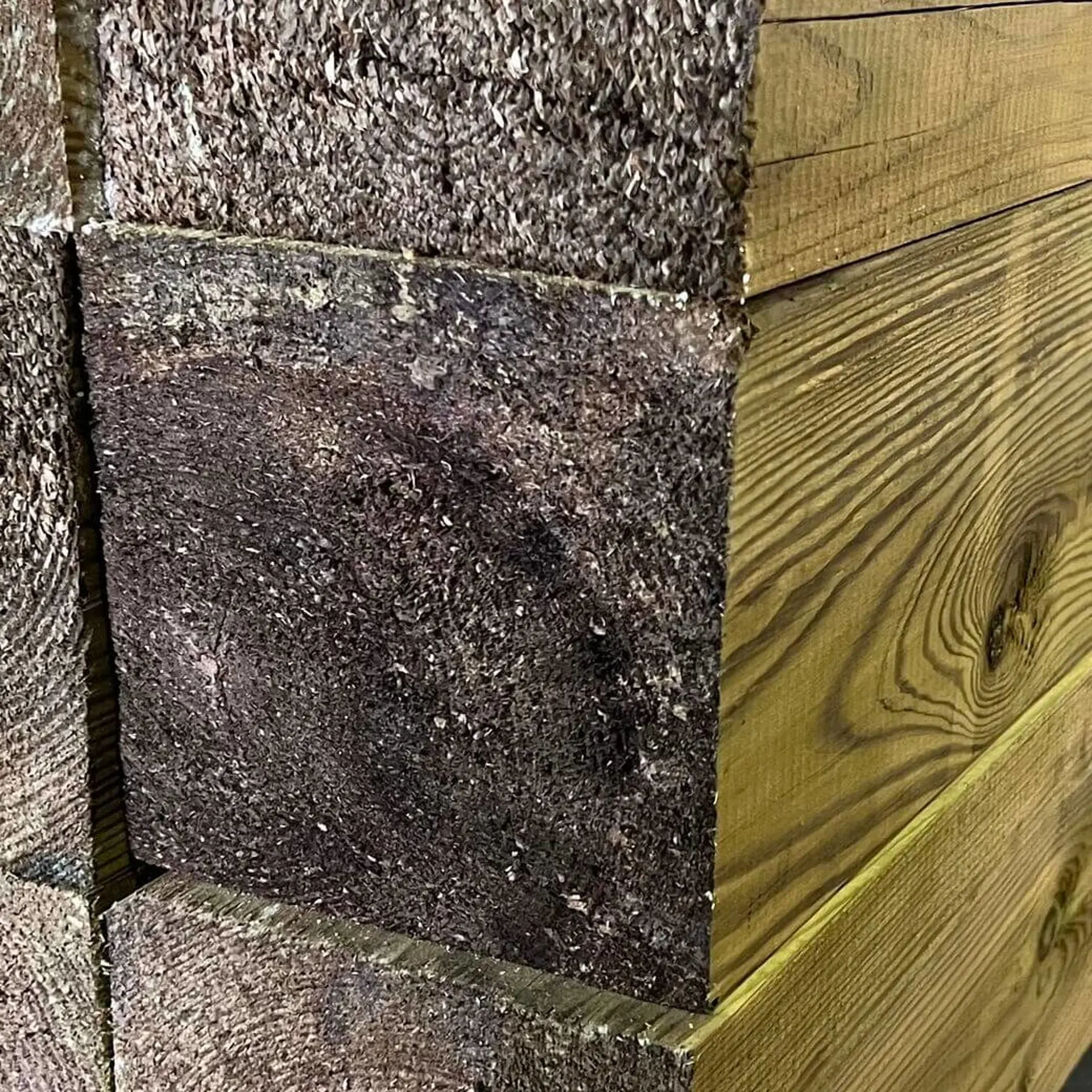 Vigas Maciças de Pinho Aparelhado - 140 x 140 x 6000